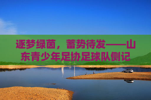 逐梦绿茵,蓄势待发——山东青少年足协足球队侧记