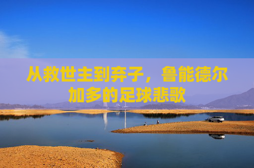 从救世主到弃子,鲁能德尔加多的足球悲歌