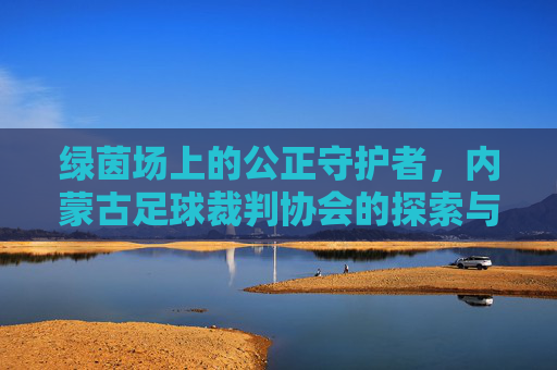 绿茵场上的公正守护者,内蒙古足球裁判协会的探索与前行