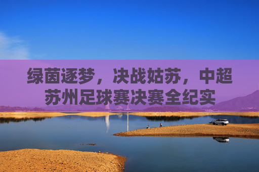 绿茵逐梦,决战姑苏,中超苏州足球赛决赛全纪实