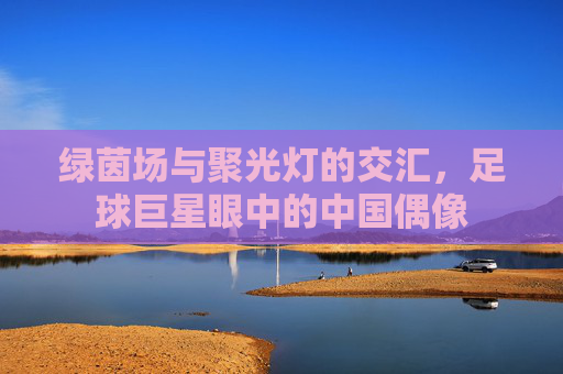 绿茵场与聚光灯的交汇,足球巨星眼中的中国偶像