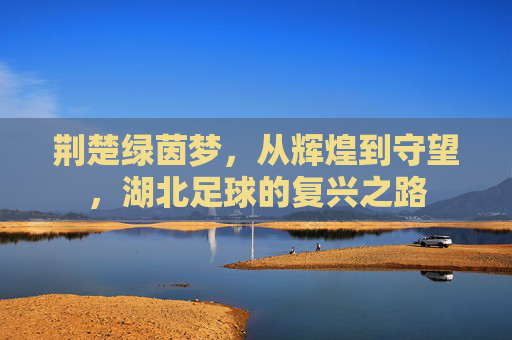 荆楚绿茵梦,从辉煌到守望,湖北足球的复兴之路