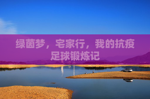 绿茵梦,宅家行,我的抗疫足球锻炼记
