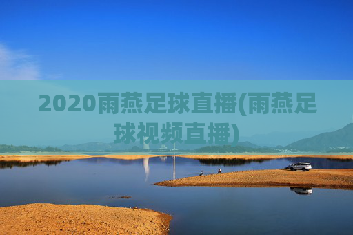 2020雨燕足球直播(雨燕足球视频直播)