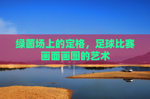 绿茵场上的定格,足球比赛画面画图的艺术
