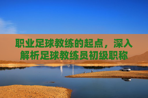 职业足球教练的起点,深入解析足球教练员初级职称