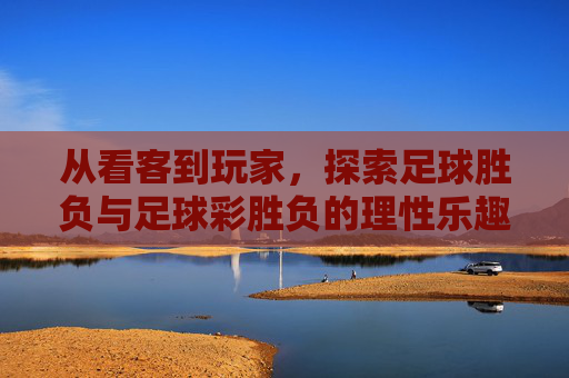 从看客到玩家,探索足球胜负与足球彩胜负的理性乐趣