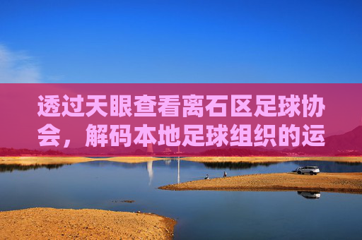 透过天眼查看离石区足球协会，解码本地足球组织的运营现状与透明度