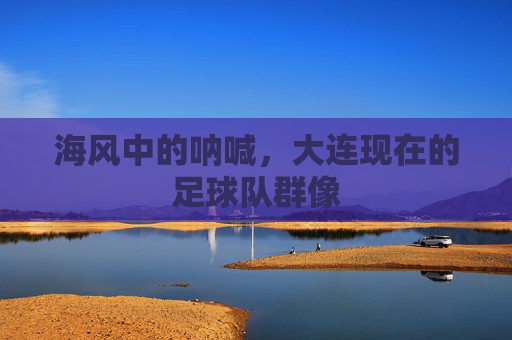 海风中的呐喊,大连现在的足球队群像