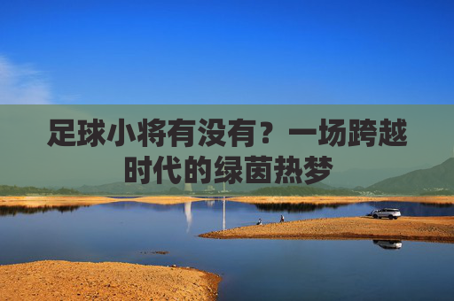足球小将有没有?一场跨越时代的绿茵热梦