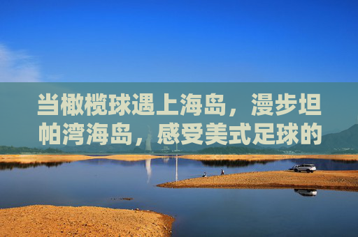当橄榄球遇上海岛,漫步坦帕湾海岛,感受美式足球的狂热脉搏