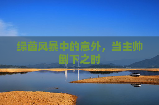 绿茵风暴中的意外,当主帅倒下之时