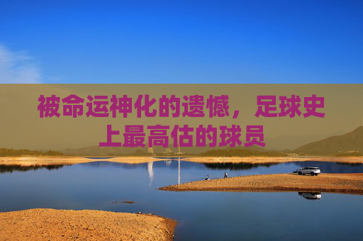 被命运神化的遗憾，足球史上最高估的球员