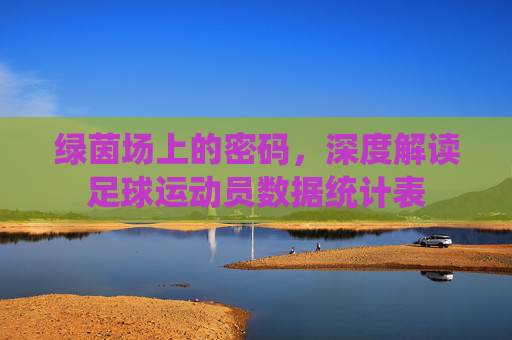 绿茵场上的密码,深度解读足球运动员数据统计表