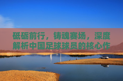 砥砺前行,铸魂赛场,深度解析中国足球球员的核心作用