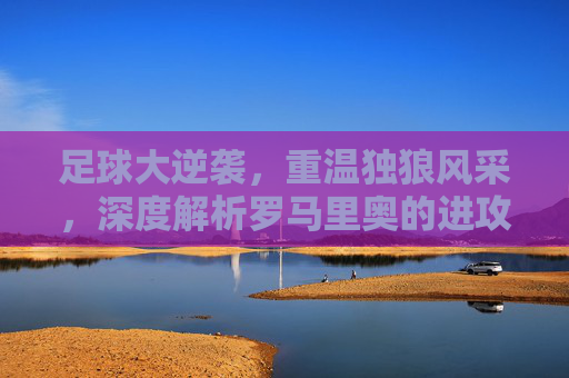 足球大逆袭,重温独狼风采,深度解析罗马里奥的进攻艺术