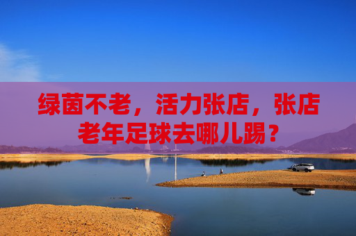 绿茵不老,活力张店,张店老年足球去哪儿踢?