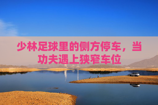 少林足球里的侧方停车,当功夫遇上狭窄车位