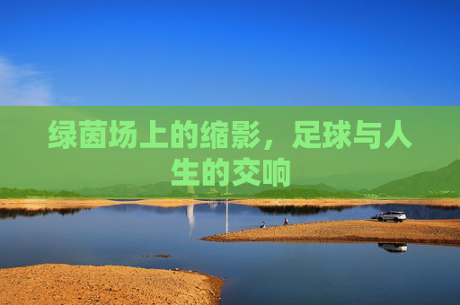 绿茵场上的缩影,足球与人生的交响