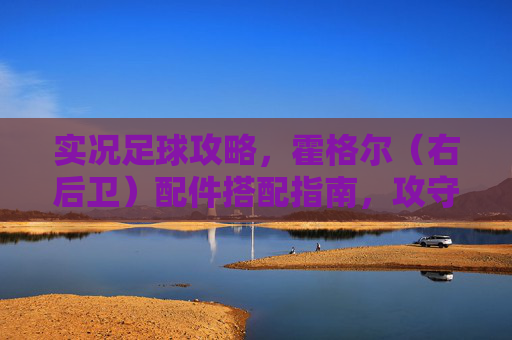实况足球攻略,霍格尔(右后卫)配件搭配指南,攻守兼备的终极配置