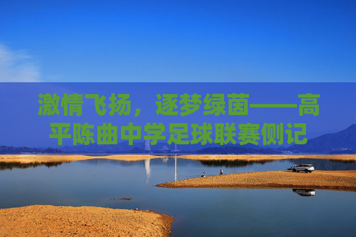 激情飞扬,逐梦绿茵——高平陈曲中学足球联赛侧记