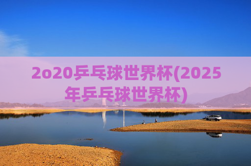 2o20乒乓球世界杯(2025年乒乓球世界杯)