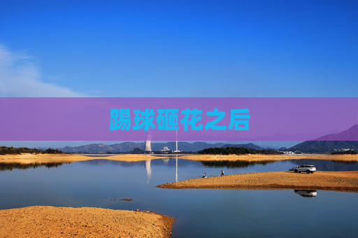 踢球砸花之后