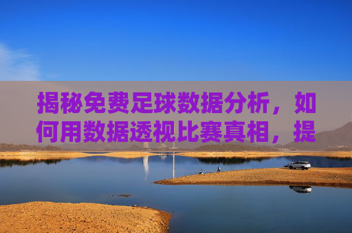 揭秘免费足球数据分析,如何用数据透视比赛真相,提升观赛与决策水平