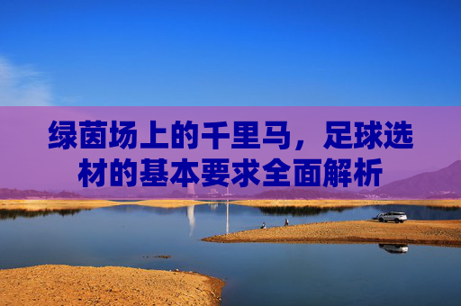 绿茵场上的千里马,足球选材的基本要求全面解析