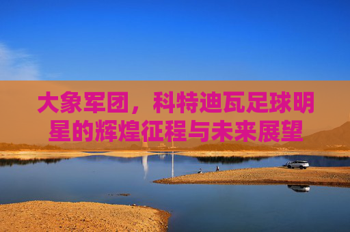 大象军团,科特迪瓦足球明星的辉煌征程与未来展望