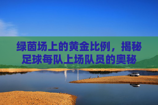 绿茵场上的黄金比例,揭秘足球每队上场队员的奥秘