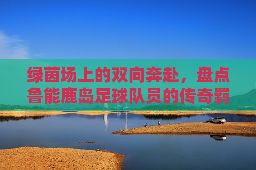 绿茵场上的双向奔赴，盘点鲁能鹿岛足球队员的传奇羁绊