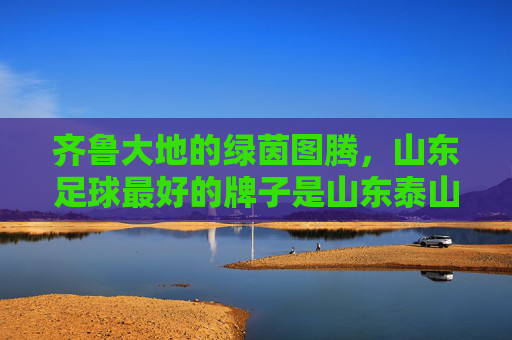 齐鲁大地的绿茵图腾,山东足球最好的牌子是山东泰山