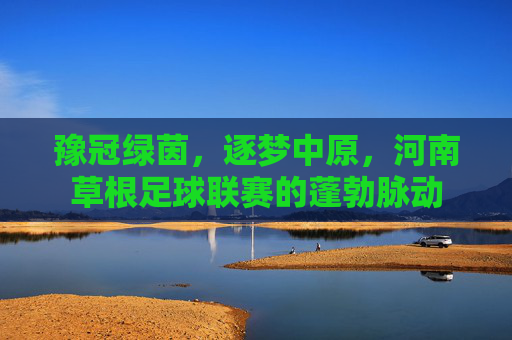豫冠绿茵,逐梦中原,河南草根足球联赛的蓬勃脉动
