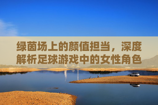 绿茵场上的颜值担当,深度解析足球游戏中的女性角色与牌子文化