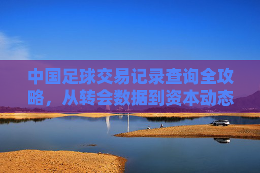 中国足球交易记录查询全攻略,从转会数据到资本动态的深度解析