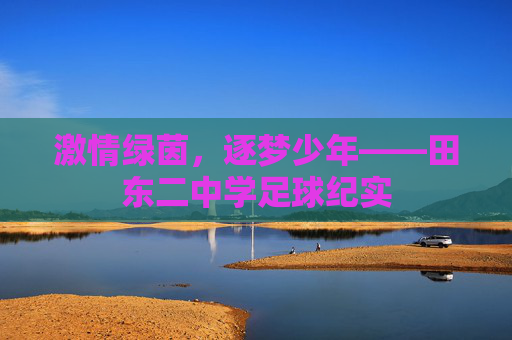 激情绿茵,逐梦少年——田东二中学足球纪实