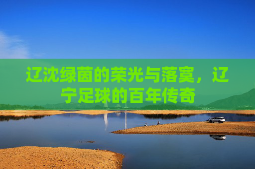 辽沈绿茵的荣光与落寞，辽宁足球的百年传奇