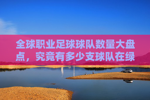 全球职业足球球队数量大盘点,究竟有多少支球队在绿茵场上奔跑?