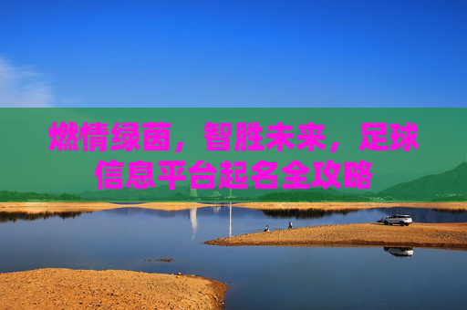 燃情绿茵，智胜未来，足球信息平台起名全攻略