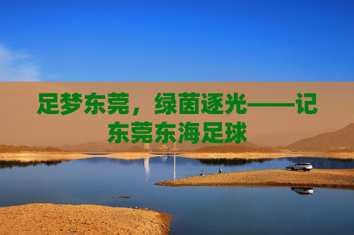 足梦东莞,绿茵逐光——记东莞东海足球