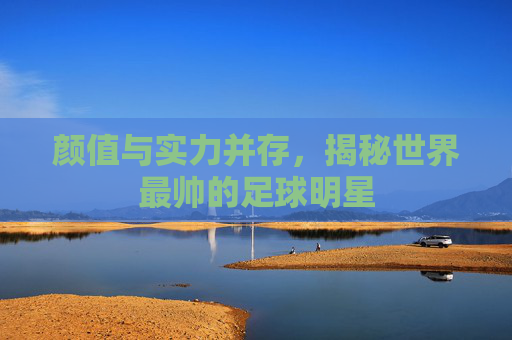 颜值与实力并存,揭秘世界最帅的足球明星
