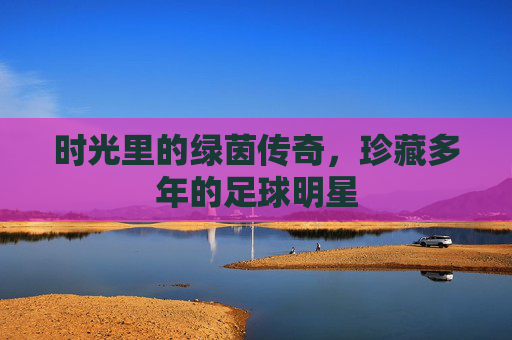 时光里的绿茵传奇,珍藏多年的足球明星
