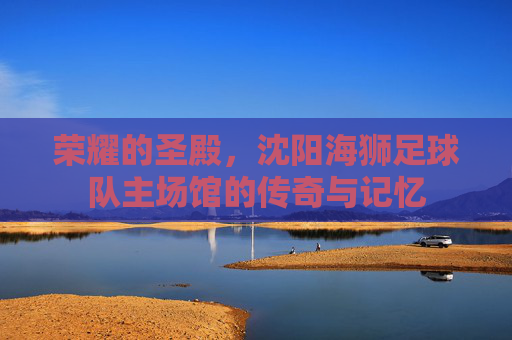 荣耀的圣殿,沈阳海狮足球队主场馆的传奇与记忆
