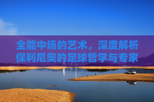 全能中场的艺术,深度解析保利尼奥的足球哲学与专家之道