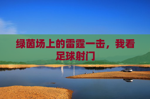 绿茵场上的雷霆一击,我看足球射门