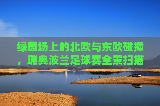 绿茵场上的北欧与东欧碰撞,瑞典波兰足球赛全景扫描