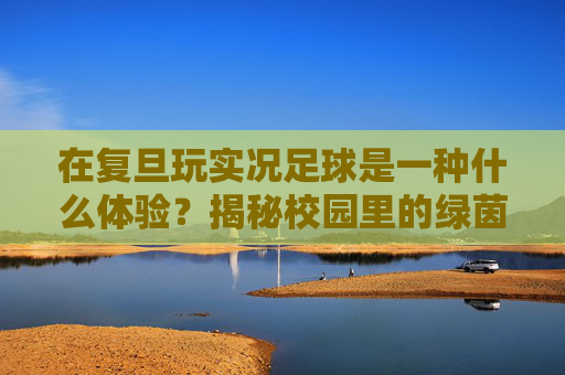 在复旦玩实况足球是一种什么体验?揭秘校园里的绿茵场