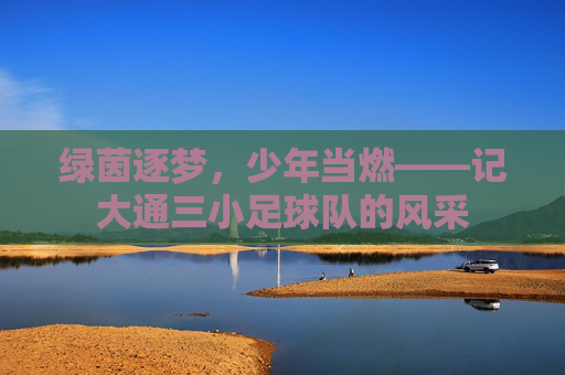 绿茵逐梦,少年当燃——记大通三小足球队的风采