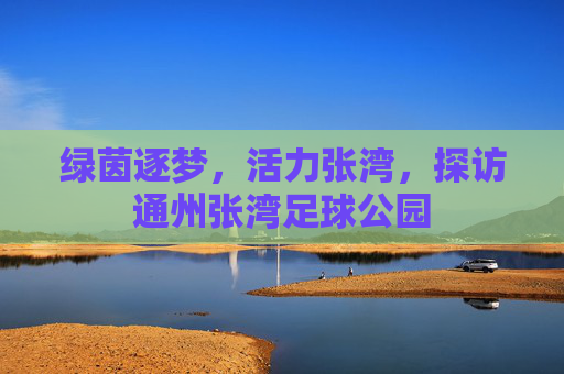 绿茵逐梦,活力张湾,探访通州张湾足球公园